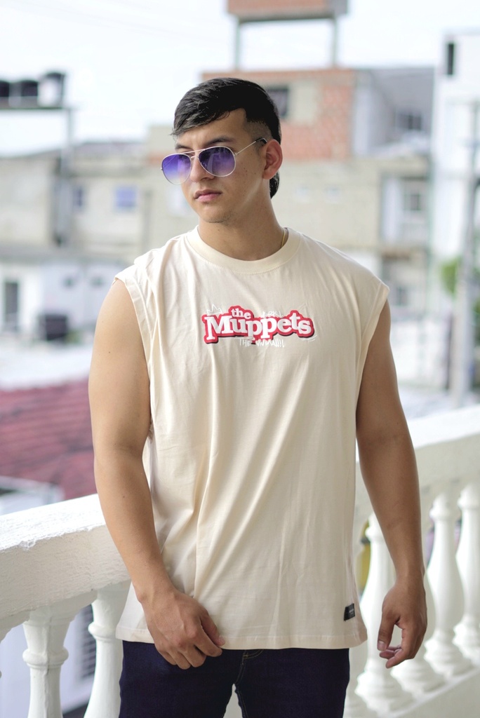 CAMISILLAS DIVERTIDAS