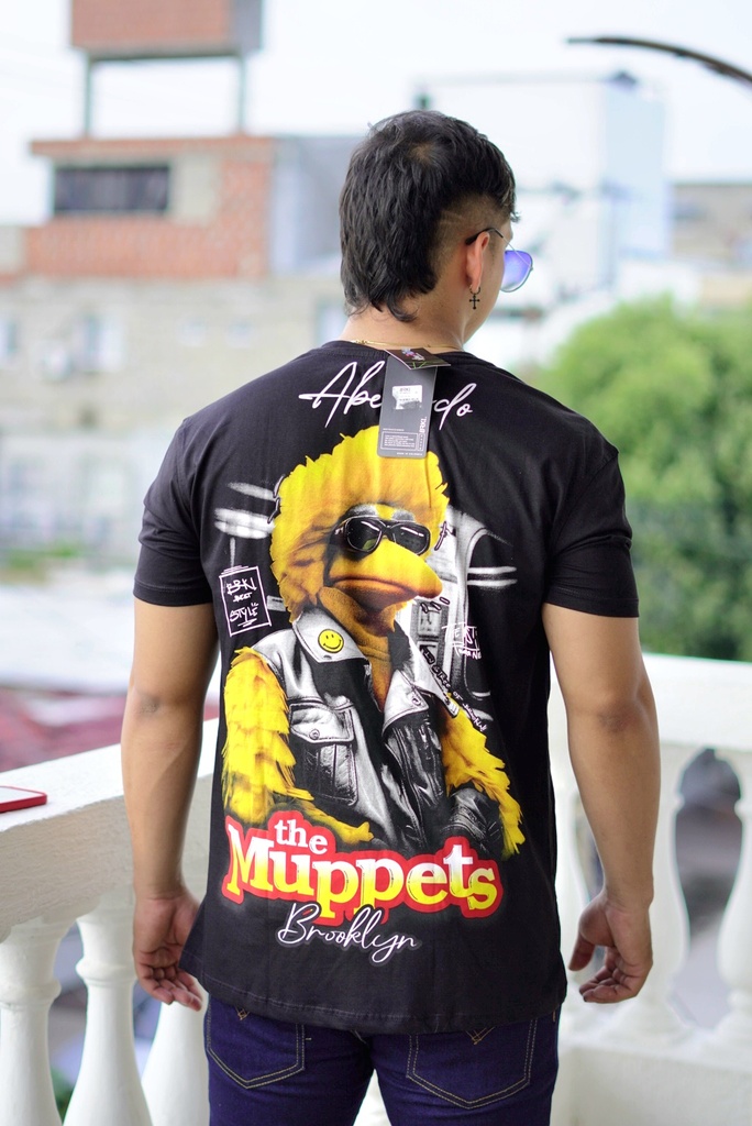 CAMISILLAS DIVERTIDAS