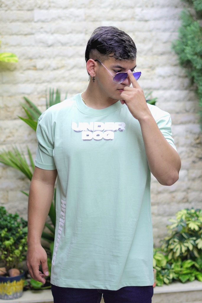 CAMISILLAS DIVERTIDAS