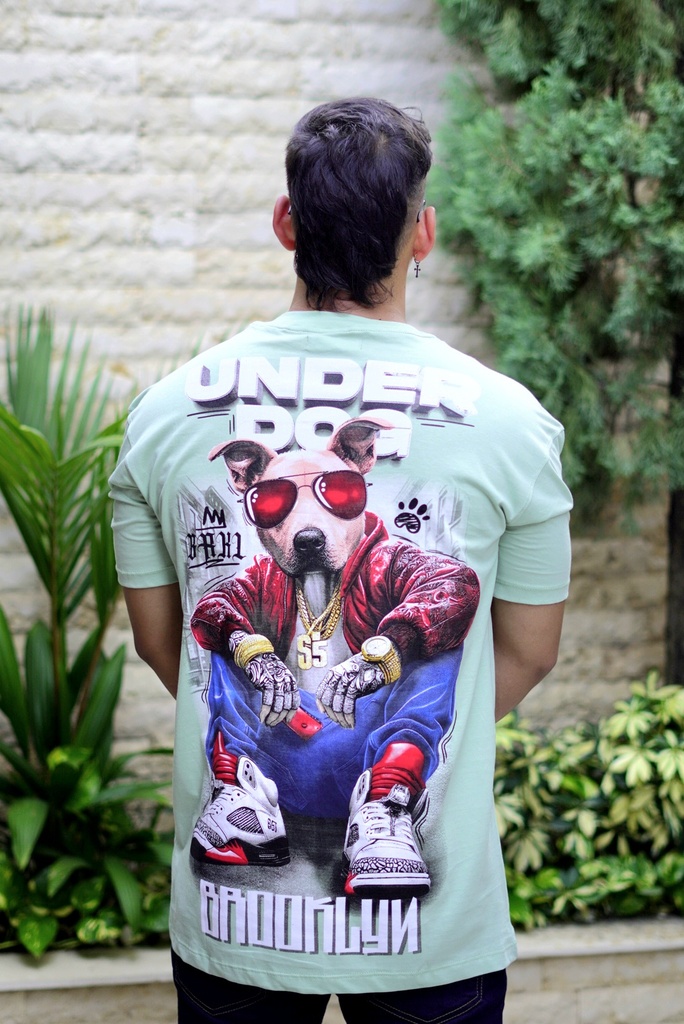 CAMISILLAS DIVERTIDAS