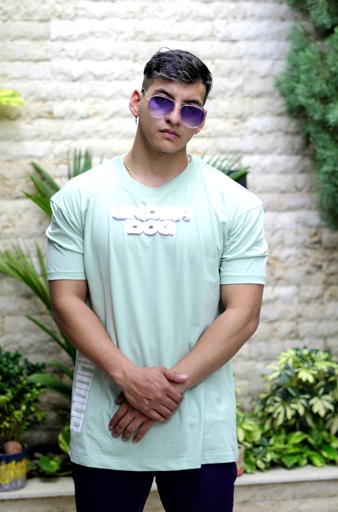 CAMISILLAS DIVERTIDAS